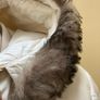 Coach Padded Coat ( cream ) with hood and fur trim ( which can be removed) Size S Image 3