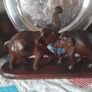 Pair of Carved Elephants Image 2