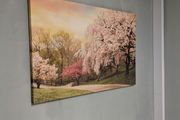 Wall canvas picture