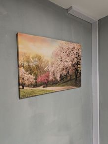 Wall canvas picture