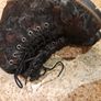 Pavers Ankle Boots Image 4