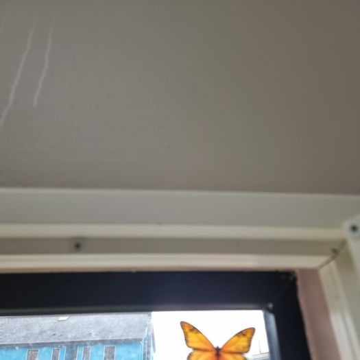 wooden window shutters