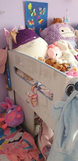 Cabin Bed
