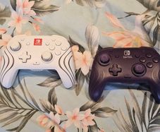 Nintendo Switch light up controllers