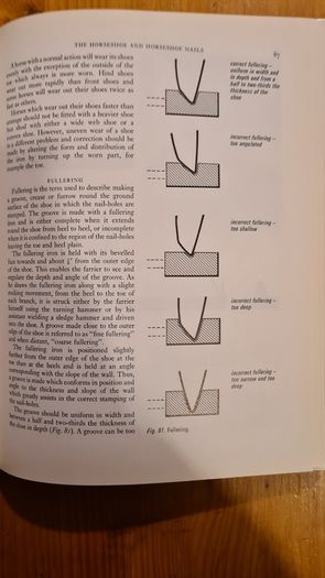 Farriery. A Complete Illustrated Guide. By John Hickman M. A. F. R. C. V. S. Large Volume Book. Hardback With Dustjacket In Very Good Condition.