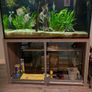 Aquarium/ Fish Not For Sale!!! Image 2