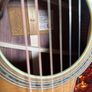 Taylor 814e Gold Label Image 2