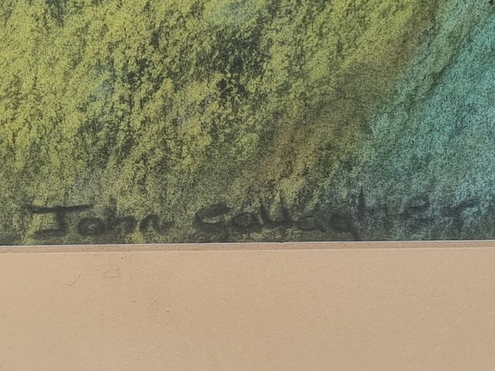 John Gallagher parrot pastel