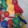 Rosettes Image 4