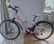 Ladies/Teenagers bicycle
