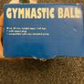 Gymnastic Ball Image 4