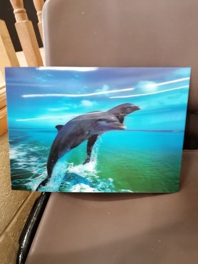 3D Animal Prints Assortment