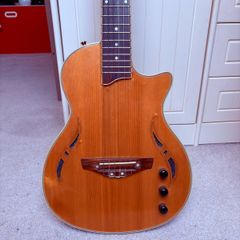 Semi acoustic electric guitar