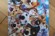 Puzzle cats and dogs