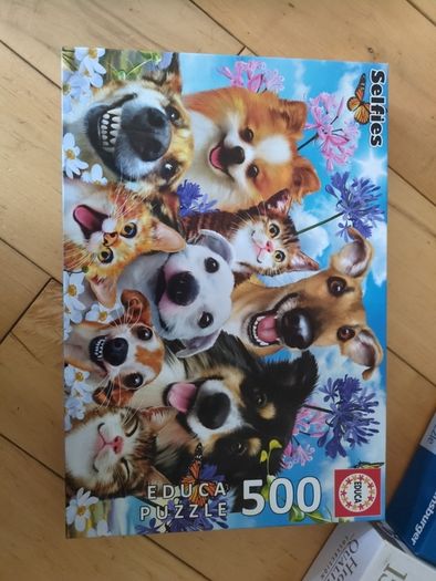 Puzzle cats and dogs