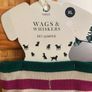 New Next Xl Dog Jumper Image 2