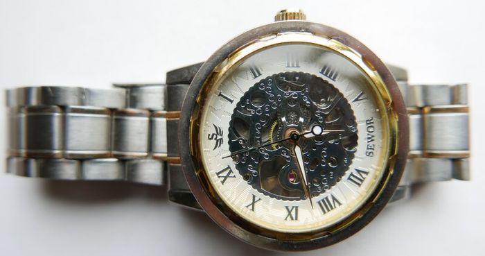 Men's Sewor Skeleton Mechanical  Watch