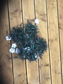 Christmas tree lights 4 sets inside lights