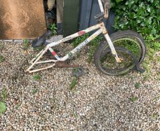 bmx