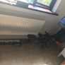 NordicTrack RX800 Rower Image 2