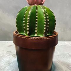 hand made leather cactus box