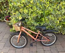 bike free to take away