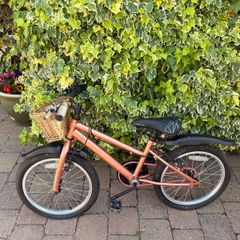 bike free to take away