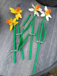 Incomplete LEGO Daffodils