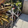 Road bike Image 5
