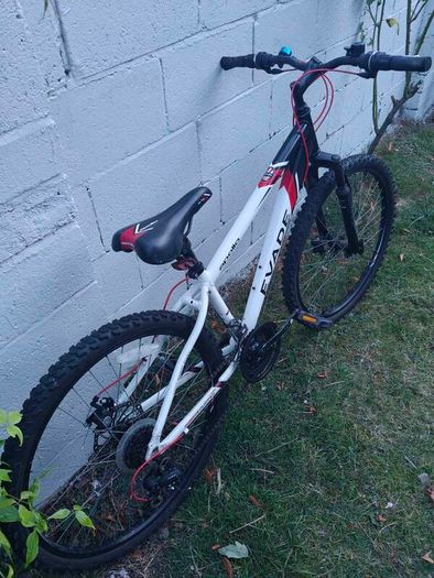 Apollo Evade Mountain bike red/black/white