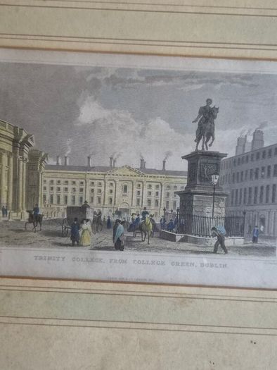 Antique Dublin Trinity College Engraving 1831