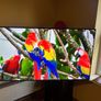 Samsung Smart TV Image 2