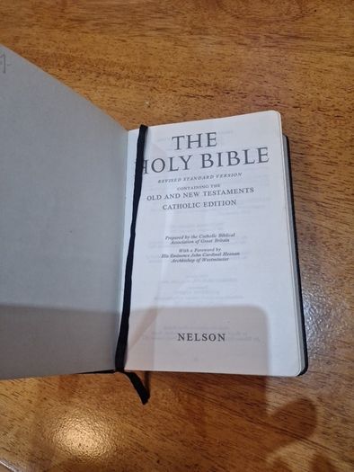 Vintage Bible by Nelson