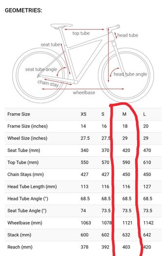 cube access Pro Woman bicycle