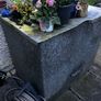 garden Image 2