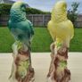 Pair of Capodimonte parrots Image 2