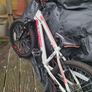 Bike Image 5