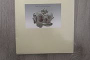 baby picture frame