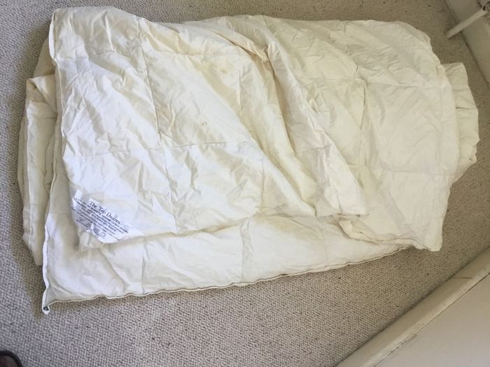 Goose down duvet