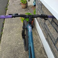 mountain bike