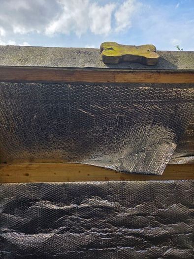 Dog House - Large