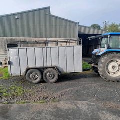 Cattle Trailer for sale