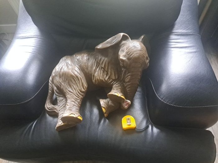 Large Elephant