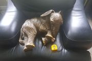 Large Elephant