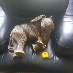 Large Elephant