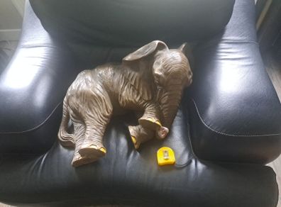 Large Elephant