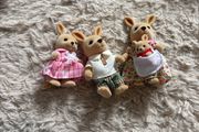 sylvanian