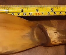SPOON???? carved out of a horn/ bone