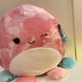 Large Squishmallow "Oshun" - Brand New Duo Image 3