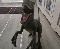 20 inch dinosaur jurassic world raptor (blue)